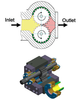 External Gear