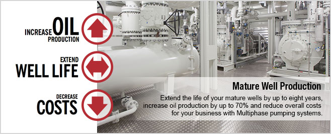 Mature Well production