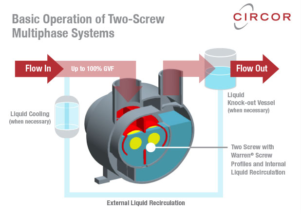 Two-screw multiphase pump system